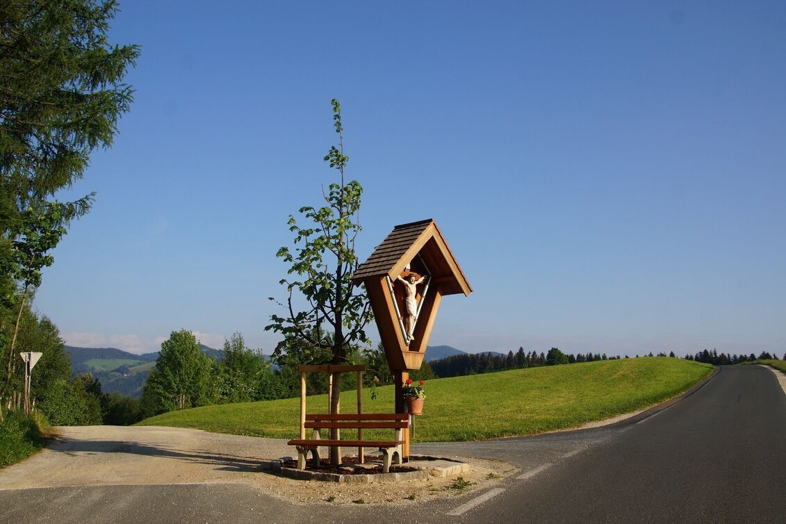 Wanderung Wanderweg  Alte Gasnerstraße, Birkfeld - Touren-Impression #1 | © Karl Zodl