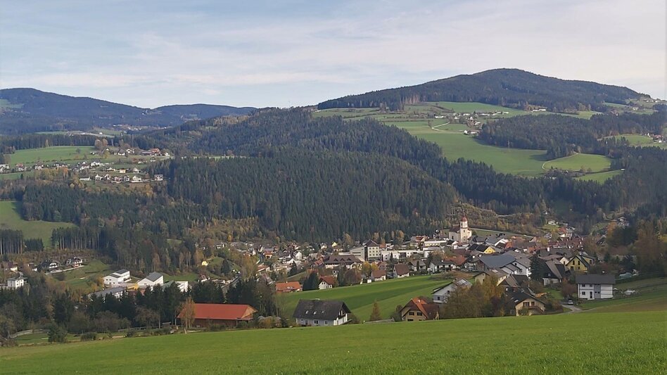 Wanderung Wanderweg  Alte Gasnerstraße, Birkfeld - Touren-Impression #2.4 | © Christa Pollhammer