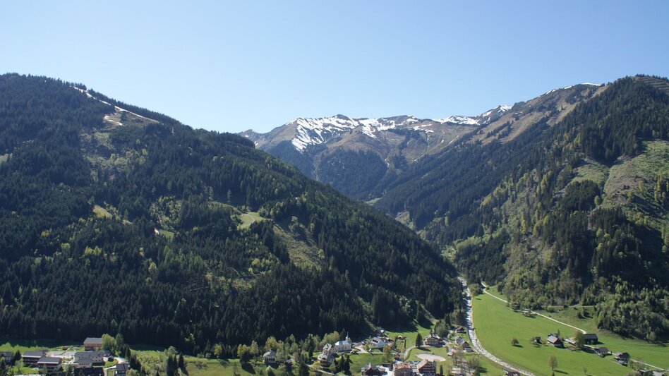 Trail Running Stegerforest Trail - Touren-Impression #2.1 | © Erlebnisregion Schladming-Dachstein