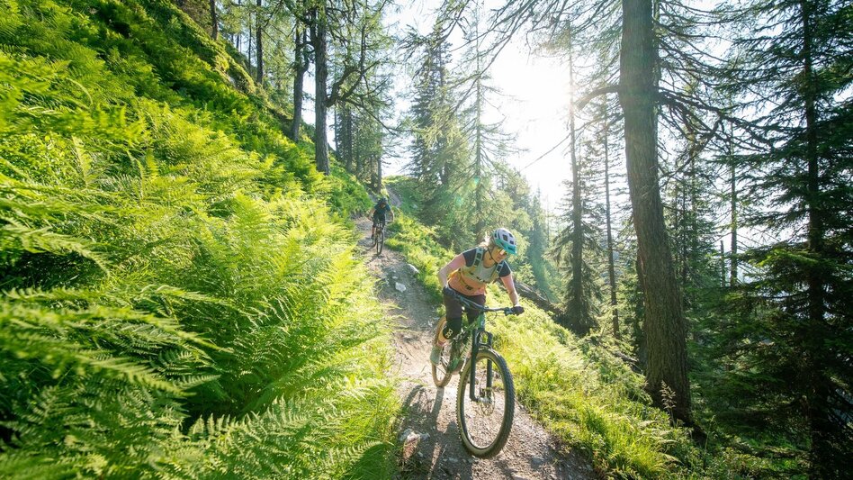 Singletrail Gassl Trail | 103 - Touren-Impression #2.2 | © Erlebnisregion Schladming-Dachstein