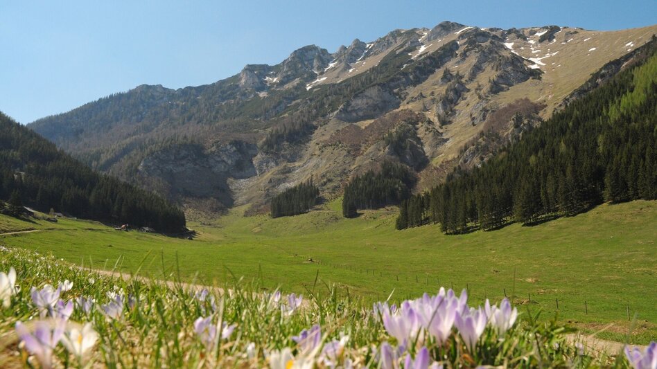 Hiking Route Marmot hike - Touren-Impression #2.2 | © TV ERZBERG LAND