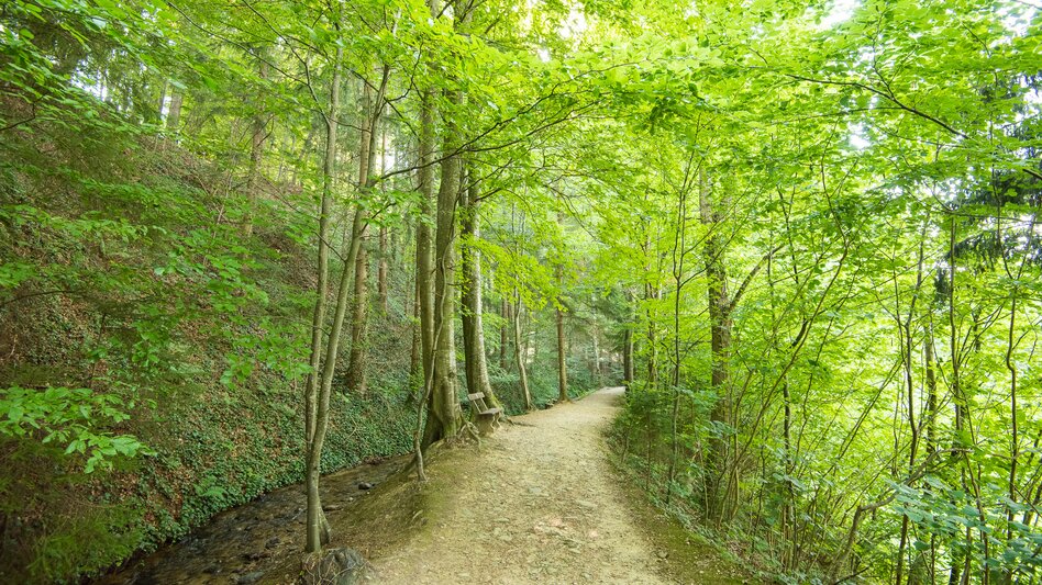 Jogging Laufen/NW: via Hinterbrühl and Schönaudorf, Pöllau - Touren-Impression #2.2 | © Oststeiermark Tourismus