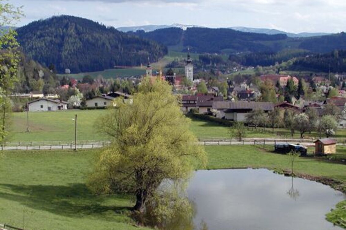 Mountain Biking Panorama Extra LN 2a - Touren-Impression #1 | © Tourismusverband ERZBERG LEOBEN