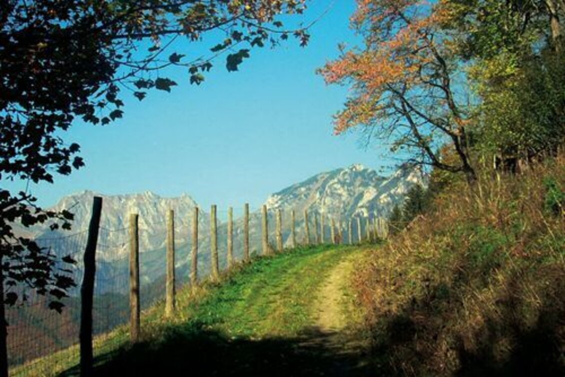Mountain Biking Damhirsch MTB LN 4 - Touren-Impression #1 | © Tourismusverband Erzberg-Leoben