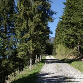 Along the Fischeralmweg | © Erlebnisregion Schladming-Dachstein