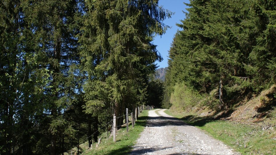 Hiking Route Fischeralmweg - Touren-Impression #2.1 | © Erlebnisregion Schladming-Dachstein
