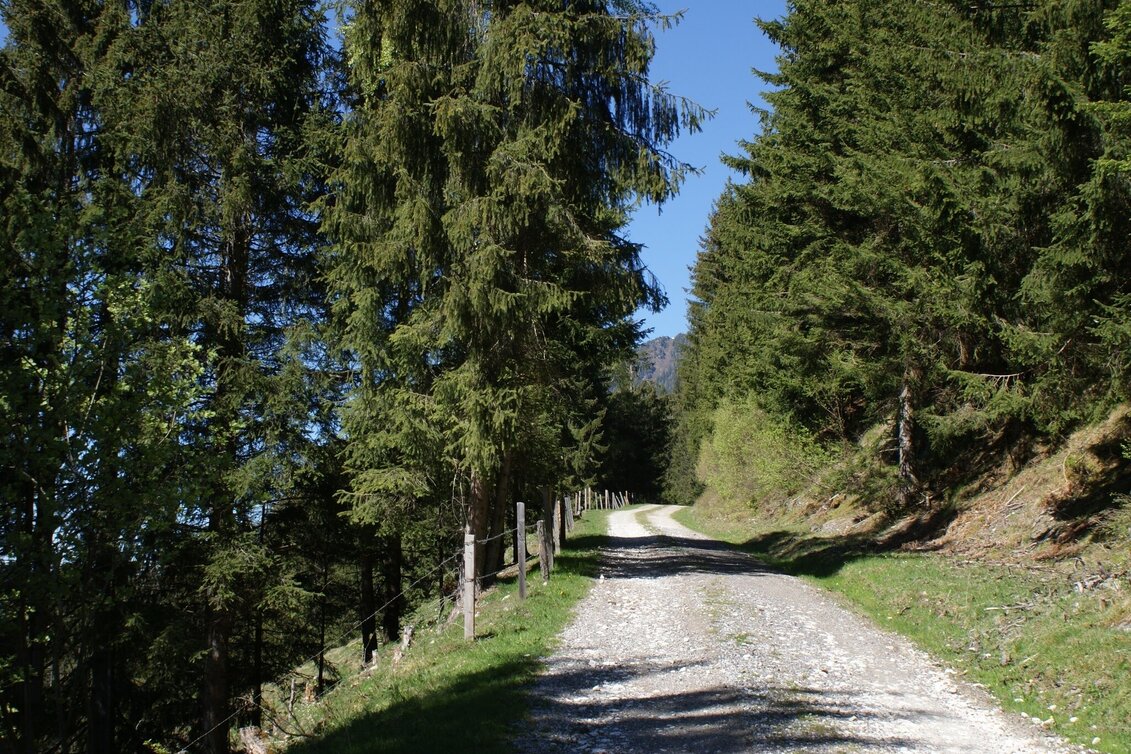 Hiking Route Fischeralmweg - Touren-Impression #1 | © Erlebnisregion Schladming-Dachstein