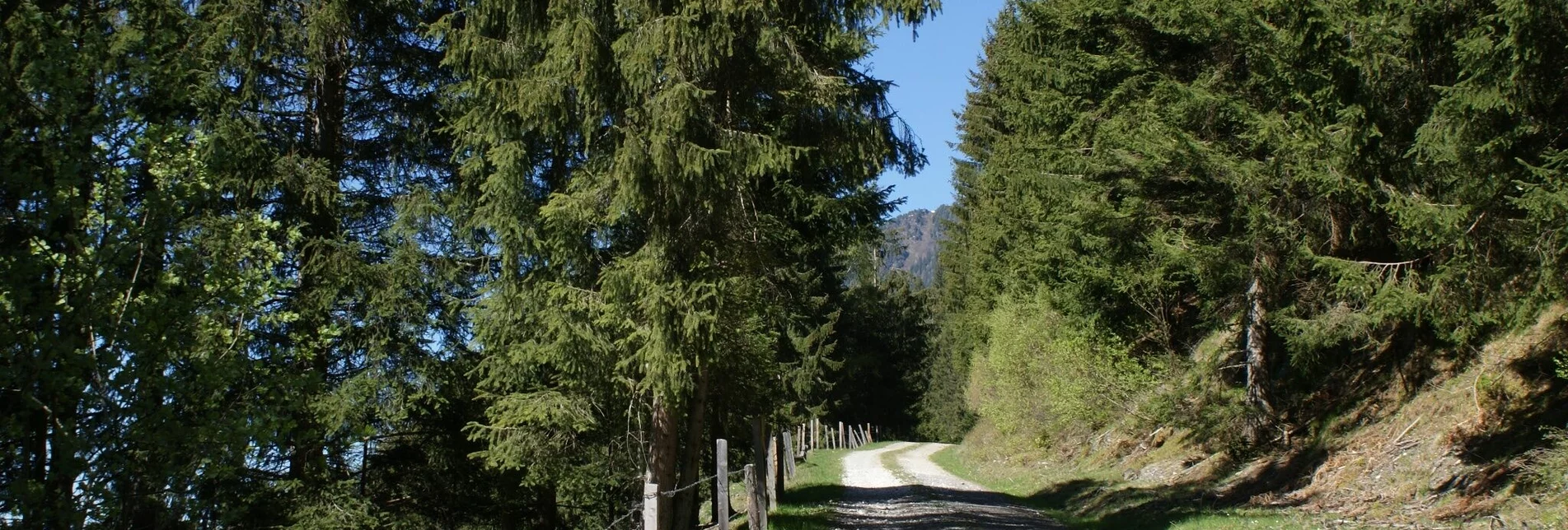 Hiking route Fischeralmweg - Touren-Impression #1 | © Erlebnisregion Schladming-Dachstein