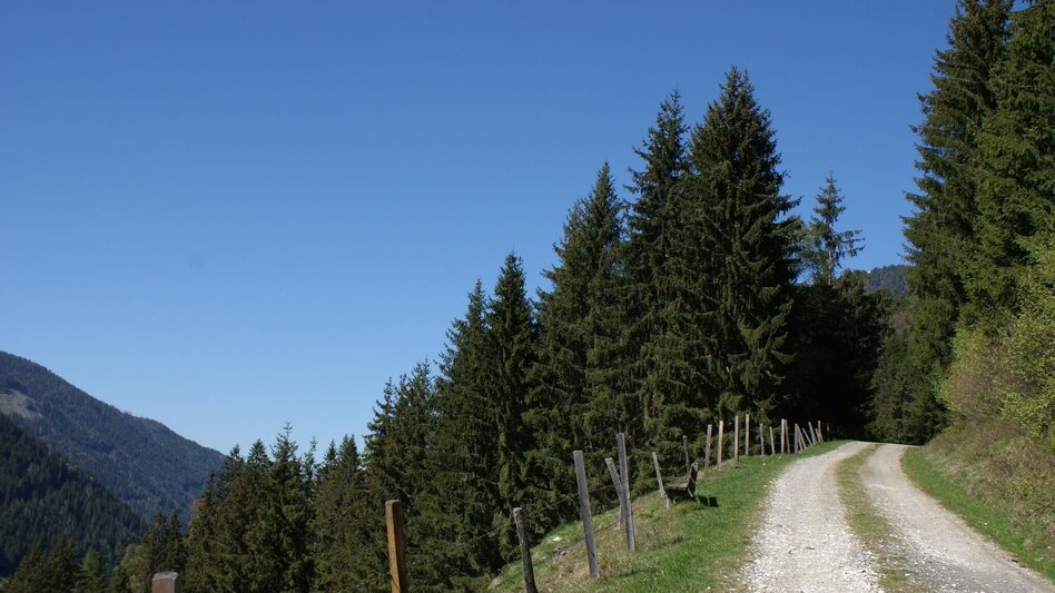 Hiking Route Fischeralmweg - Touren-Impression #2.4 | © Erlebnisregion Schladming-Dachstein