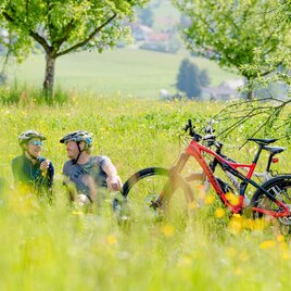 Schirningtalrunde wiese(c) TV Region OberGraz-Mias PhotoArt | © Region Graz