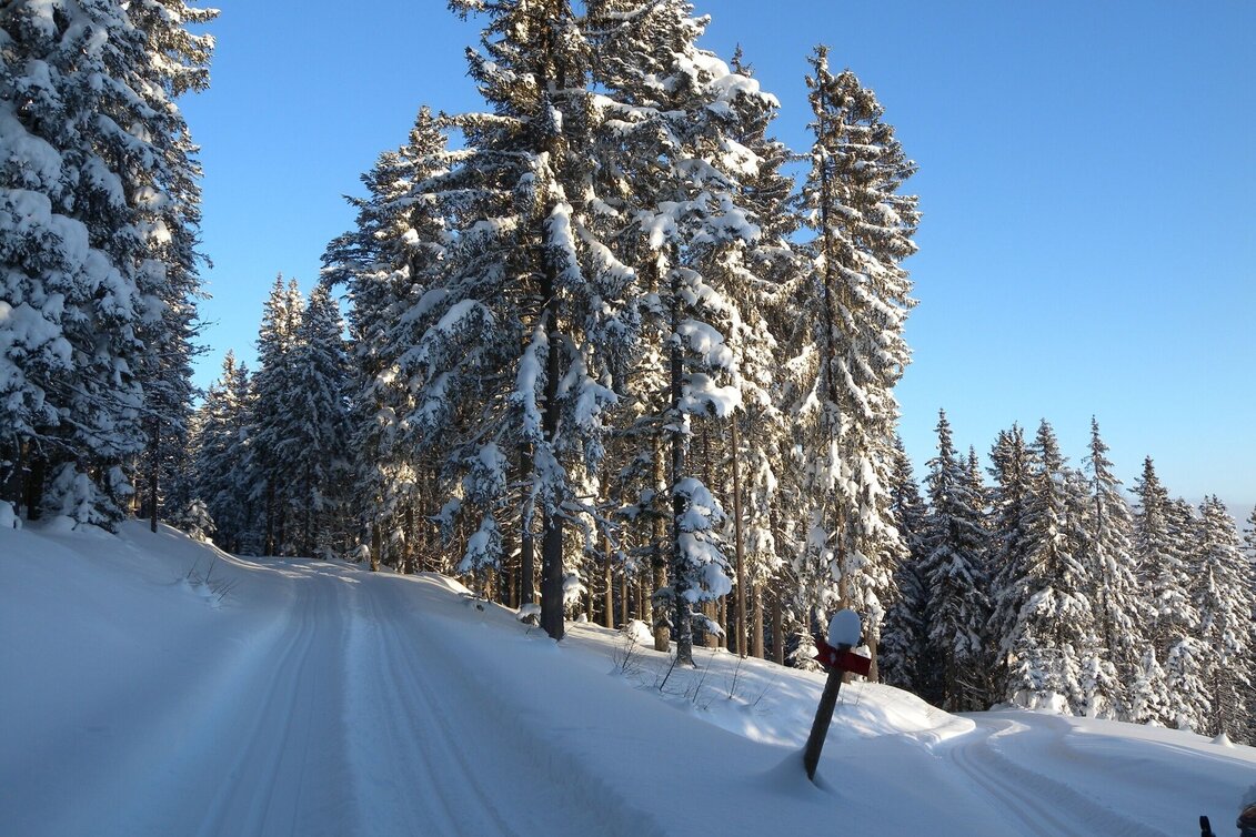 Langlauf klassisch Teufelstein-Wanderloipe, Fischbach - Touren-Impression #1 | © Tourismus Fischbach