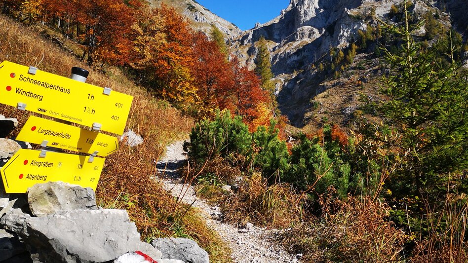 Hiking Route Culinary Hike from Hut to Hut in the Mürzer Oberland Nature Park - Touren-Impression #2.14 | © TV Hochsteiermark