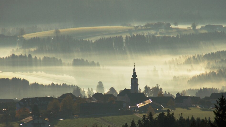 Nordic Walking Does Me Good Trail, Wenigzell - Touren-Impression #2.4 | © Oststeiermark Tourismus