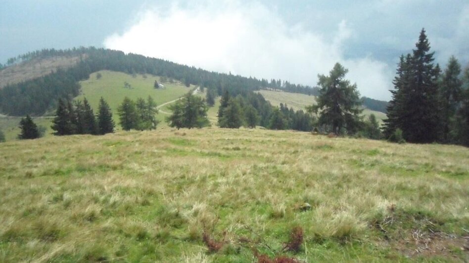Wanderung Waldwanderung: Altes Almhaus - St. Hemma - Touren-Impression #2.3 | © TV Lipizzanerheimat