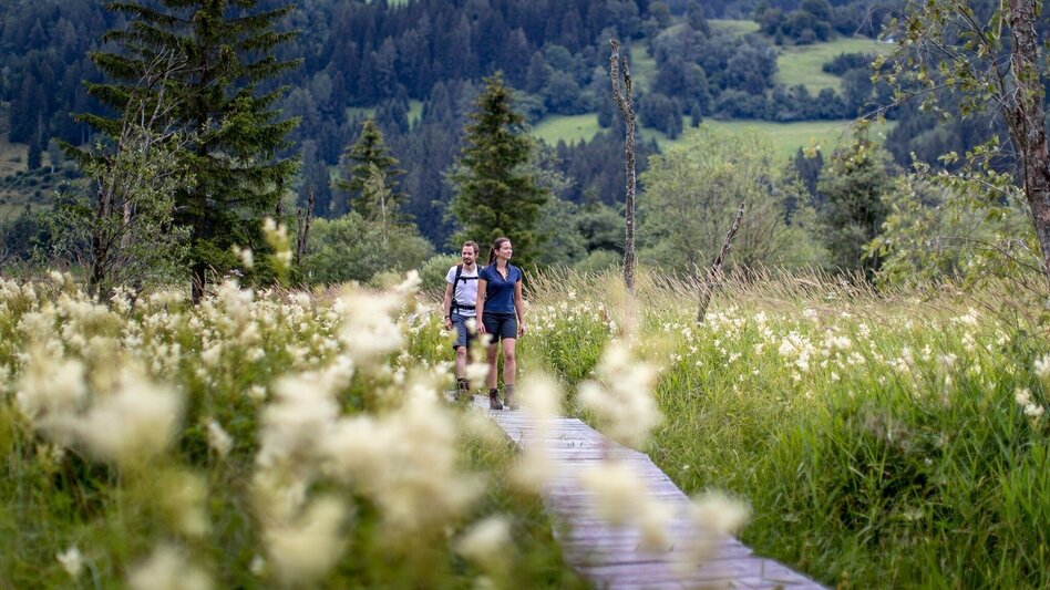 Wanderung Althaus-Hörfeld-Runde - Touren-Impression #2.1 | © Tourismusverband Murau