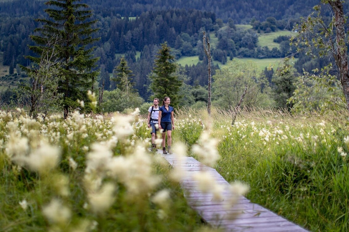 Wanderung Althaus-Hörfeld-Runde - Touren-Impression #1 | © Tourismusverband Murau