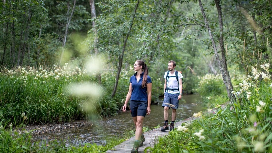 Wanderung Althaus-Hörfeld-Runde - Touren-Impression #2.2 | © Tourismusverband Murau