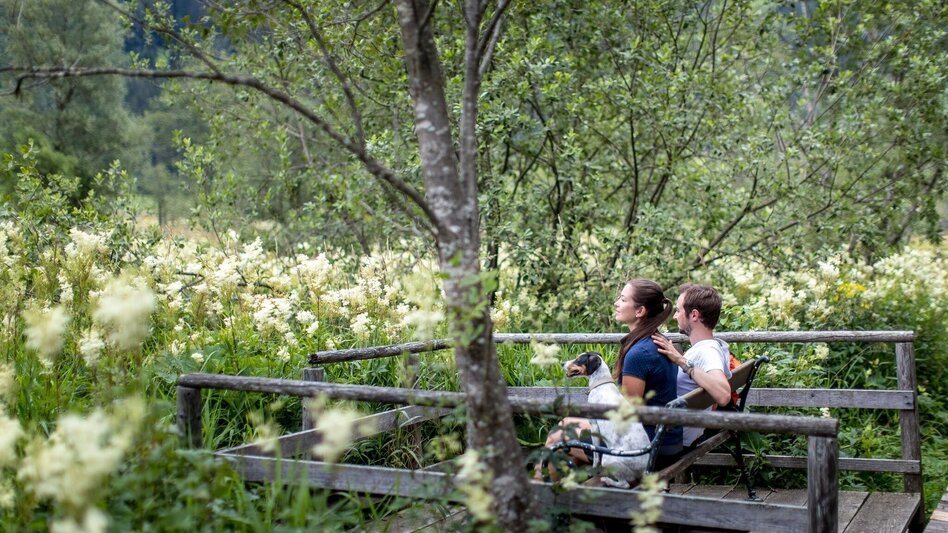 Wanderung Althaus-Hörfeld-Runde - Touren-Impression #2.3 | © Tourismusverband Murau