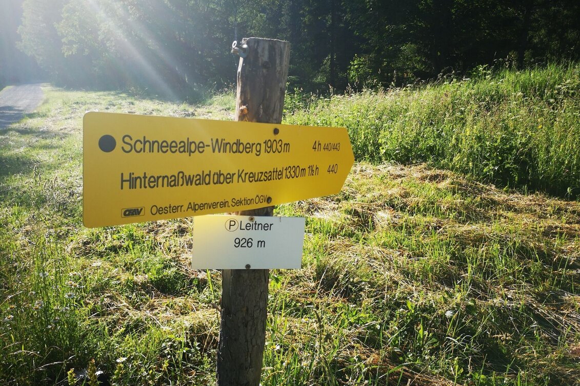Wanderung Vom Steinalpl über Kleinboden auf den Windberg im Naturpark Mürzer Oberland - Touren-Impression #1 | © TV Hochsteiermark