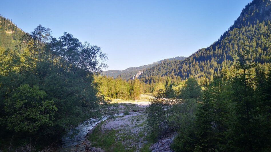 Wanderung Vom Steinalpl über Kleinboden auf den Windberg im Naturpark Mürzer Oberland - Touren-Impression #2.3 | © TV Hochsteiermark