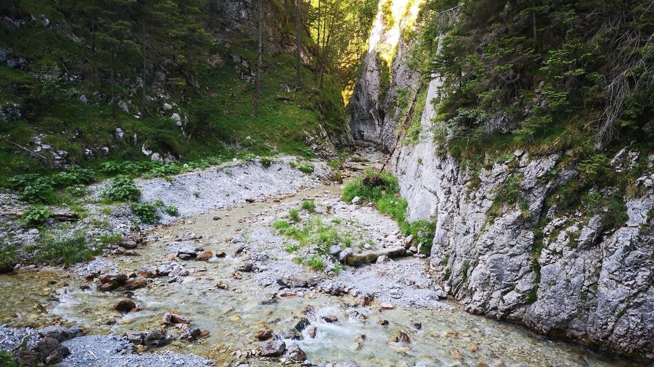 Wanderung Vom Steinalpl über Kleinboden auf den Windberg im Naturpark Mürzer Oberland - Touren-Impression #2.4 | © TV Hochsteiermark