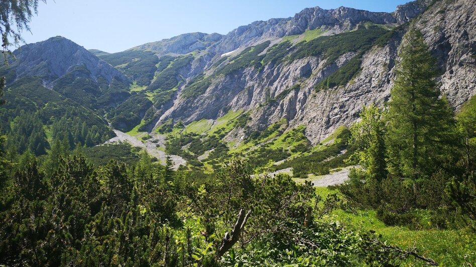 Wanderung Vom Steinalpl über Kleinboden auf den Windberg im Naturpark Mürzer Oberland - Touren-Impression #2.5 | © TV Hochsteiermark