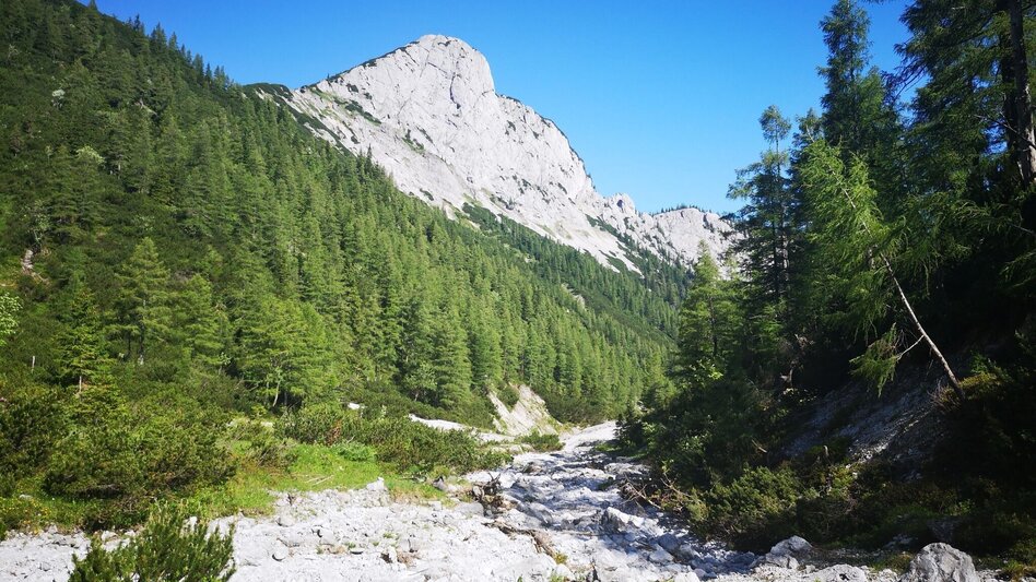 Wanderung Vom Steinalpl über Kleinboden auf den Windberg im Naturpark Mürzer Oberland - Touren-Impression #2.8 | © TV Hochsteiermark