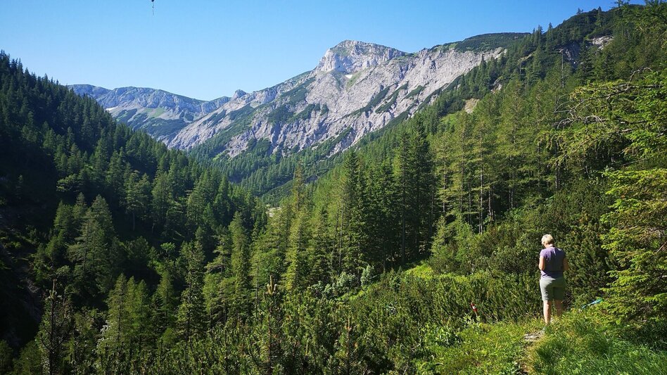 Wanderung Vom Steinalpl über Kleinboden auf den Windberg im Naturpark Mürzer Oberland - Touren-Impression #2.9 | © TV Hochsteiermark
