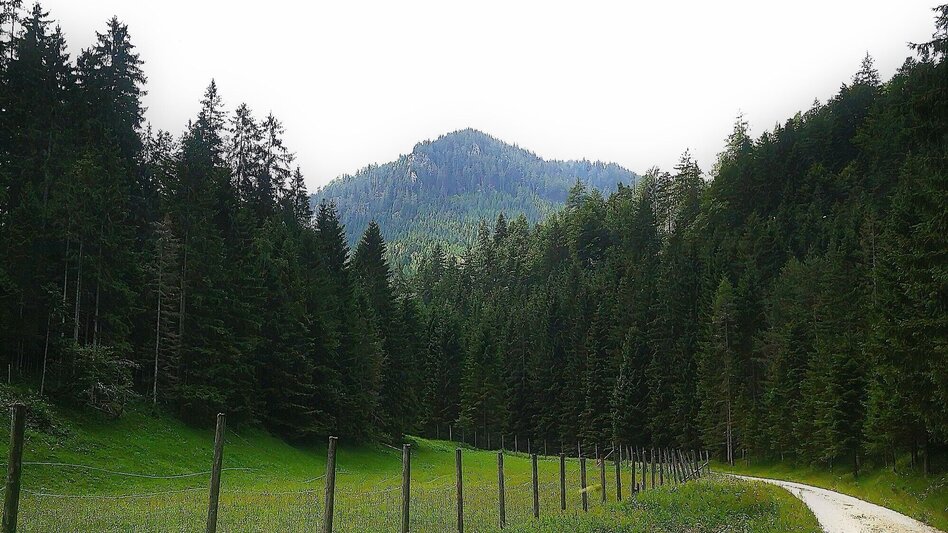 Wanderung Über den Senkstein auf die Kleinveitschalm im Naturpark Mürzer Oberland - Touren-Impression #2.1 | © TV Hochsteiermark