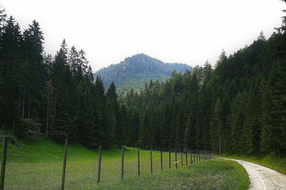 Wanderung Über den Senkstein auf die Kleinveitschalm im Naturpark Mürzer Oberland - Touren-Impression #1 | © TV Hochsteiermark