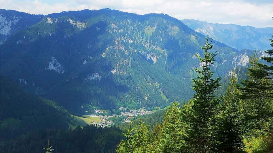 Wanderung Über den Senkstein auf die Kleinveitschalm im Naturpark Mürzer Oberland - Touren-Impression #2.2 | © TV Hochsteiermark