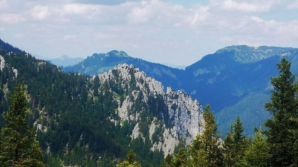 Wanderung Über den Senkstein auf die Kleinveitschalm im Naturpark Mürzer Oberland - Touren-Impression #2.3 | © TV Hochsteiermark