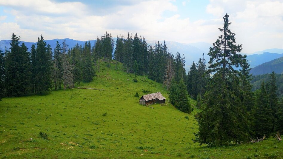 Wanderung Über den Senkstein auf die Kleinveitschalm im Naturpark Mürzer Oberland - Touren-Impression #2.4 | © TV Hochsteiermark