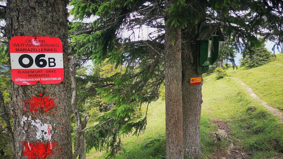 Wanderung Über den Senkstein auf die Kleinveitschalm im Naturpark Mürzer Oberland - Touren-Impression #2.5 | © TV Hochsteiermark