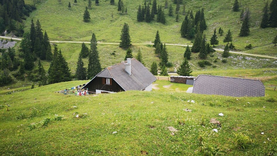 Wanderung Über den Senkstein auf die Kleinveitschalm im Naturpark Mürzer Oberland - Touren-Impression #2.6 | © TV Hochsteiermark
