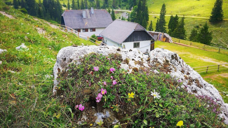 Wanderung Über den Senkstein auf die Kleinveitschalm im Naturpark Mürzer Oberland - Touren-Impression #2.7 | © TV Hochsteiermark