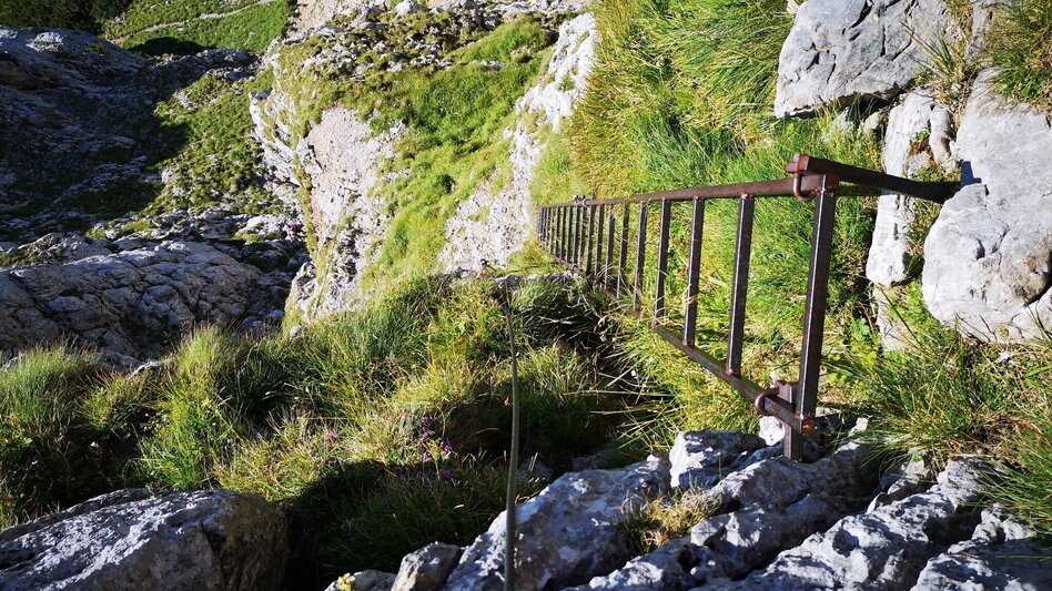 Via Ferrata Kleine Reißtalersteig - Runde auf die Rax im Naturpark Mürzer Oberland - Touren-Impression #2.3 | © TV Hochsteiermark