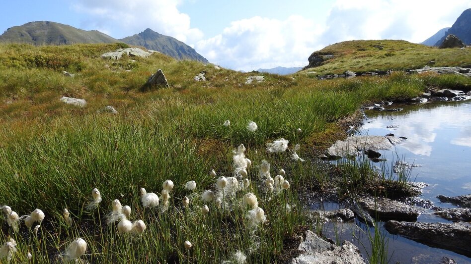 Wasserweg 2-Tages-Tour: Breitlahnalm - Goldlacken - Sonntagskarseen - Schwarzensee - Touren-Impression #2.4 | © Erlebnisregion Schladming-Dachstein