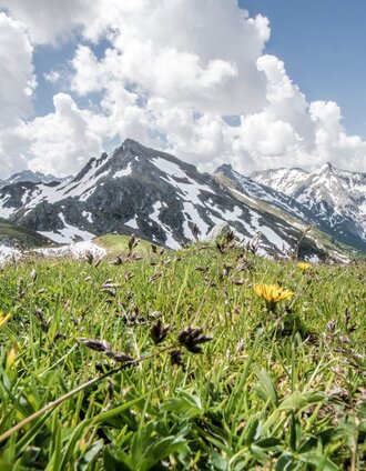 Unterhalb des Hochfeld geht es weiter zum Schiedeck | Gerhard Pilz | © Gerhard Pilz