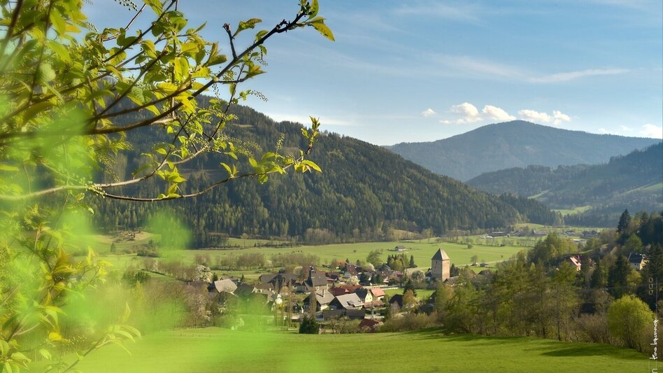 Wanderung Feistritzer Runde - Touren-Impression #2.2 | © Tourismusverband Murau