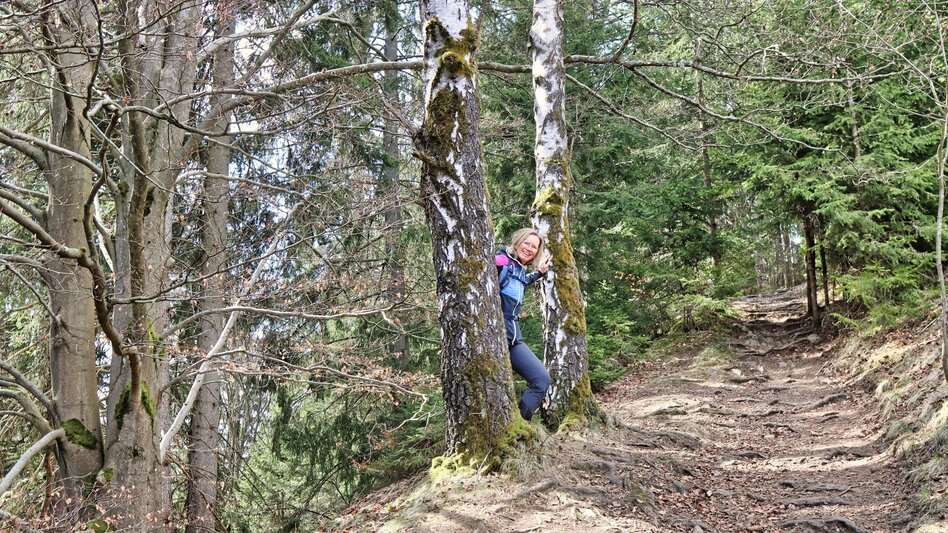 Hiking Route Tremmelberg "Tower in the mountains" via Wolfsgrube - Touren-Impression #2.4 | © Weges OG