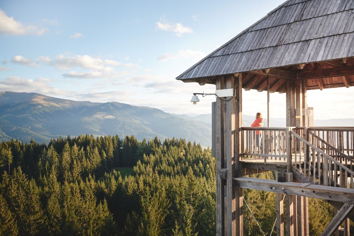 Hiking Route Tremmelberg "Tower in the mountains" via Wolfsgrube - Touren-Impression #1 | © Erlebnisregion Murtal