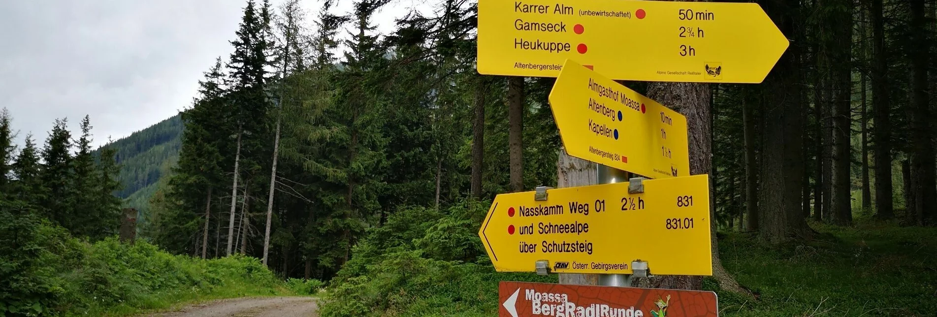 Bergtour Vom Moassa über das "kleine Fuchsloch" auf die Rax im Naturpark Mürzer Oberland - Touren-Impression #1 | © TV Hochsteiermark