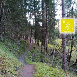Singletrail Am Fischersteig | © Erlebnisregion Schladming-Dachstein