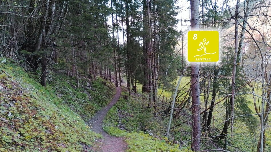 Trail Running Fisherway Trail - Touren-Impression #2.1 | © Erlebnisregion Schladming-Dachstein