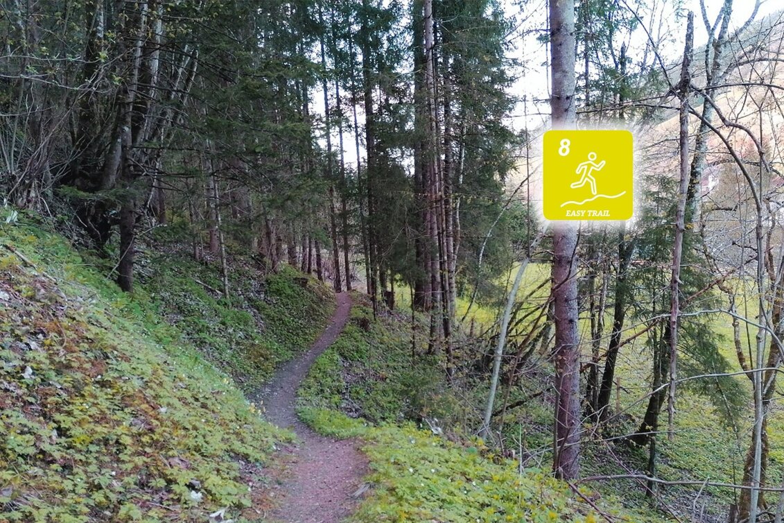 Trail Running Fisherway Trail - Touren-Impression #1 | © Erlebnisregion Schladming-Dachstein