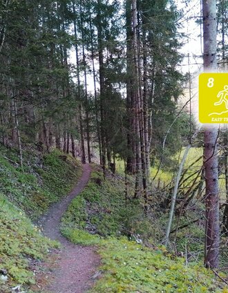 Singletrail Am Fischersteig | © Erlebnisregion Schladming-Dachstein