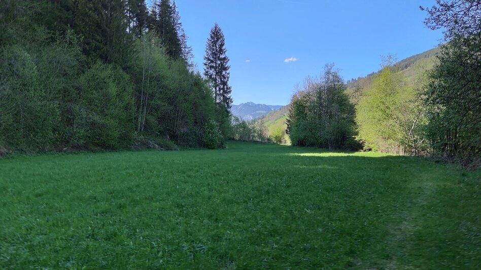 Trail Running Fisherway Trail - Touren-Impression #2.3 | © Erlebnisregion Schladming-Dachstein