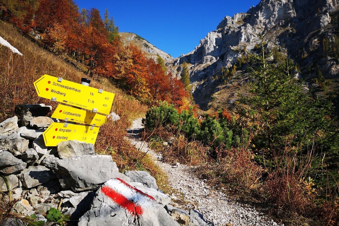 Wanderung Über den Alm- und den Blarergraben auf die Schneealm im Naturpark Mürzer Oberland - Touren-Impression #1 | © TV Hochsteiermark