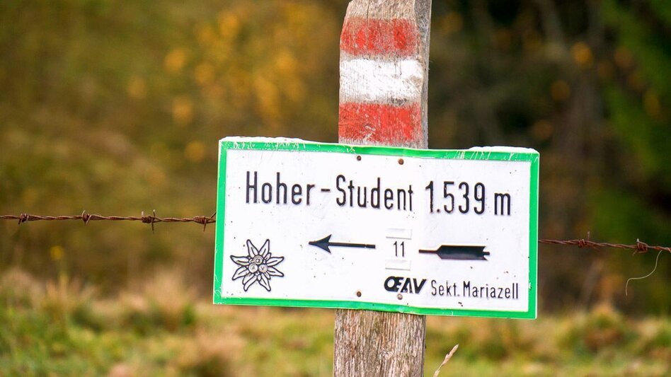 Wanderung Über den Freinsattel auf die Hohe Student im Naturpark Mürzer Oberland - Touren-Impression #2.1 | © TV Hochsteiermark